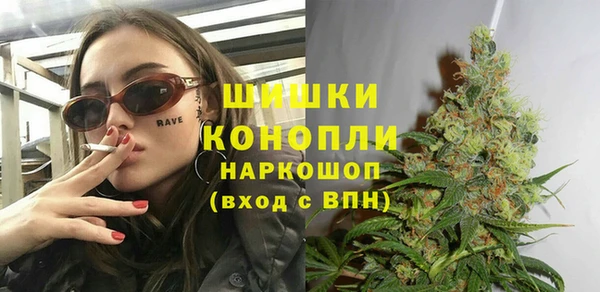 PSILOCYBIN Богородск